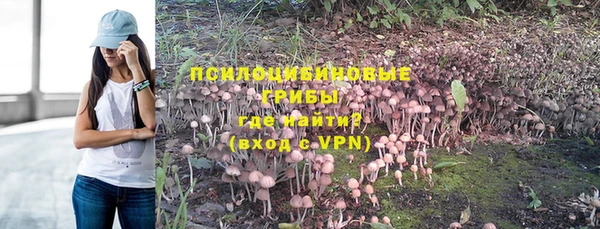 трава Абаза