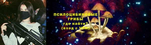 трава Абаза