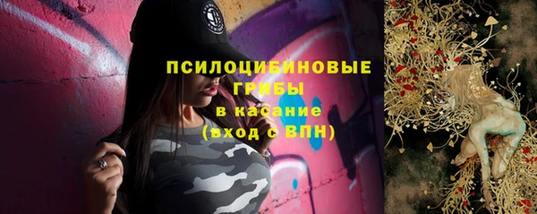 трава Абаза