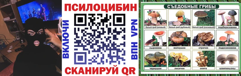 наркотики  Удомля  Псилоцибиновые грибы Magic Shrooms 